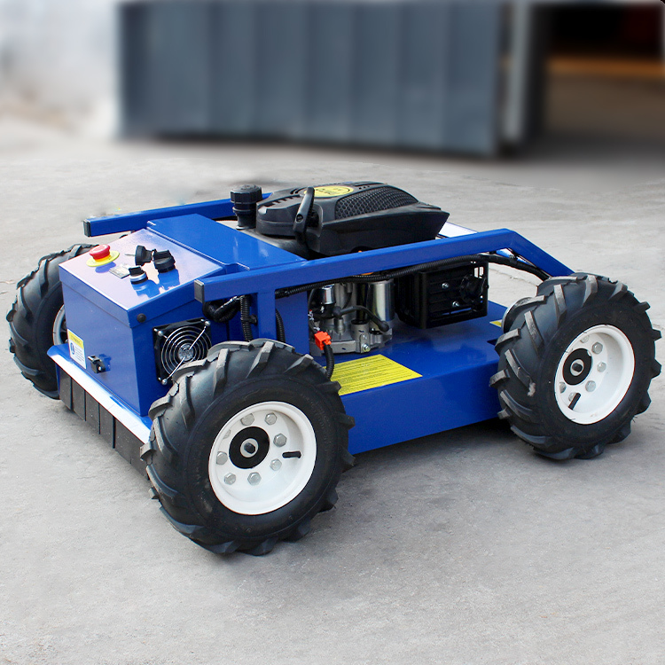 Petrol Lawn Mower Industrial/DIY Riding Mower with Rotary Cordless and ...